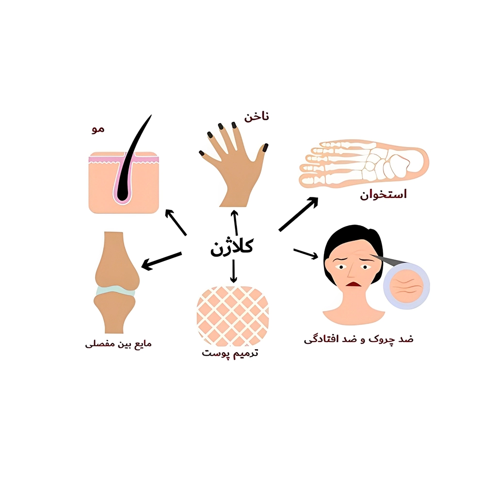 کلاژن چیست وچه تاثیری دارد